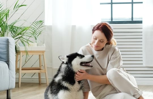 Типы квартир AVA Sochi